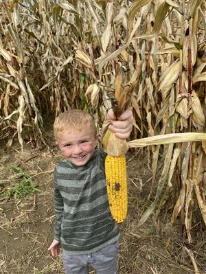 Beth's Farm