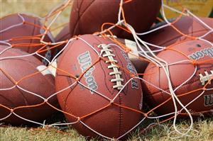Footballs in a mesh bag
