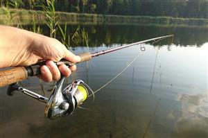 Fishing pole by pond